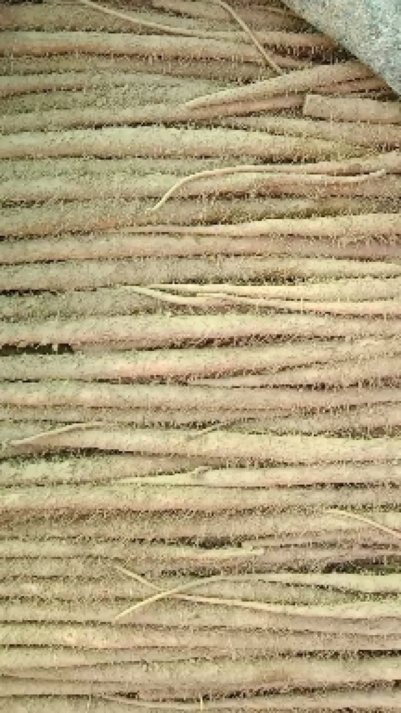 万亩精品红皮铁棍山药灵宝山药品质好，个大、大量现货