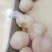 出售各种半成品，甜蒜，咸蒜！各种包装，零售批发