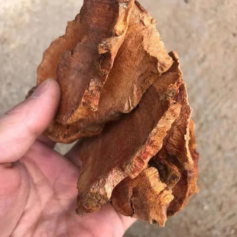 野生土茯苓货干量大从优。