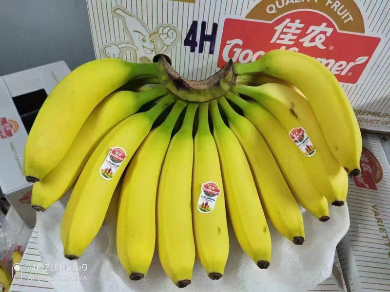 香蕉进口菲律宾，一手货源，大量现货，质量保证，量大从优