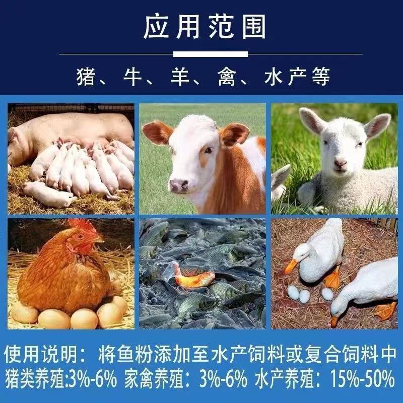 进口秘鲁鱼粉68蛋白鸡猪狗鹌鹑貂狐甲鱼小龙虾鱼畜禽水产