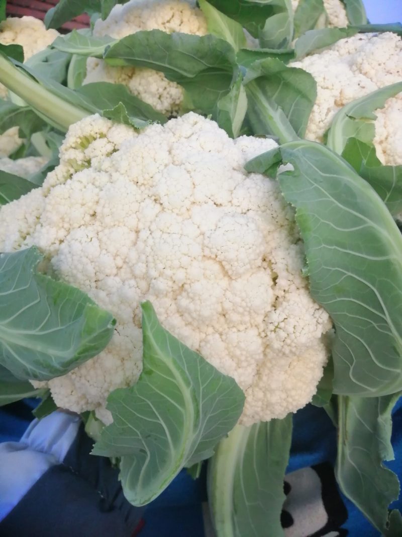 本地有机花菜个头1到2斤左右花型好价格美丽一手货源