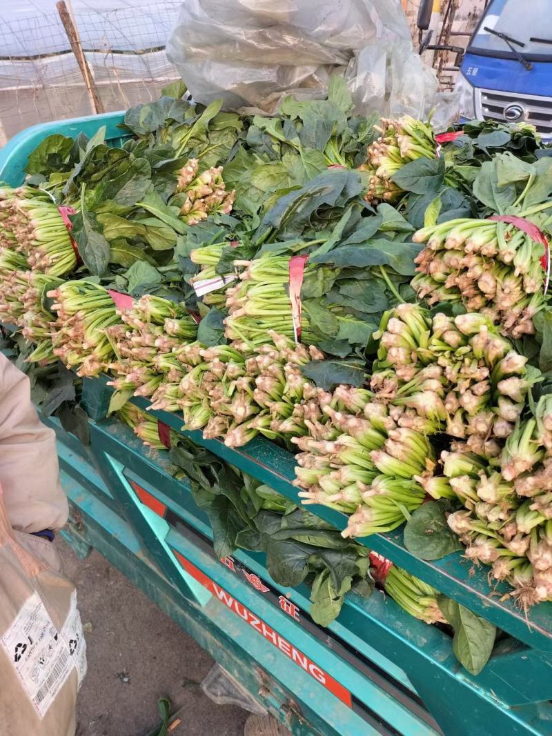 量大现货