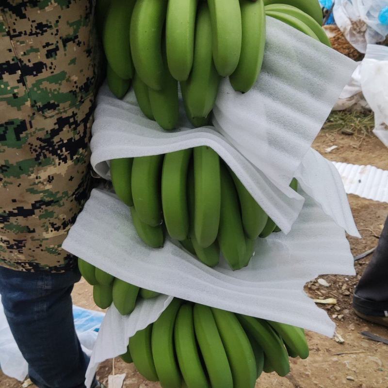 香蕉