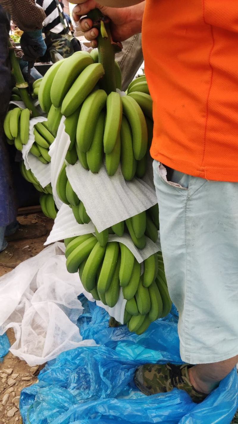 香蕉