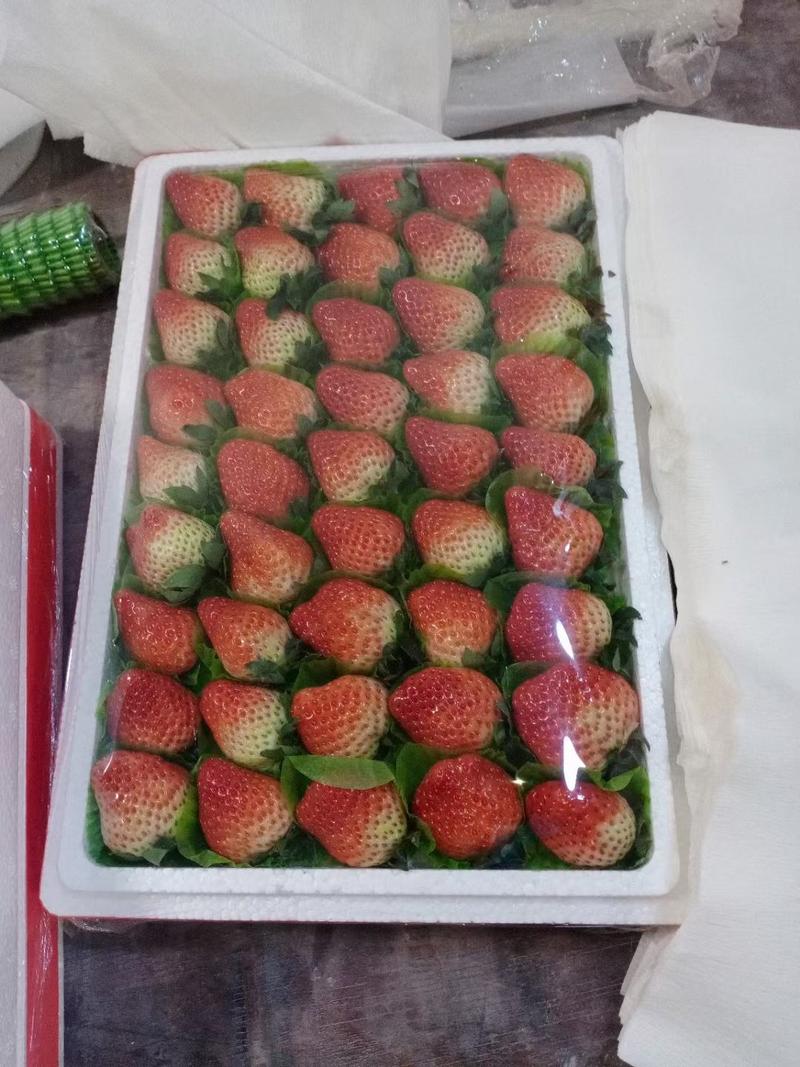 【热卖】红颜草莓，，万亩基地，一手货源，价格美丽。