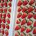 甜宝草莓大量上市了，产地直供欢迎老板们长期合作，