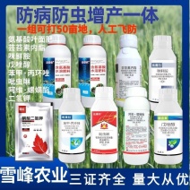 小麦专用一喷三防套餐杀虫剂杀菌剂肥料叶面肥增产一体大瓶装