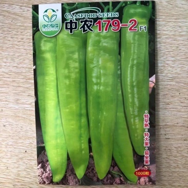 中农179-2大果牛角椒种子中辣黄绿皮耐低温大果辣椒种子