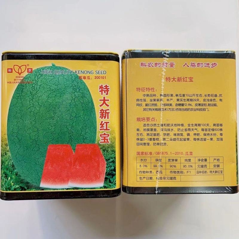 科农新红宝西瓜种子中熟优质抗病丰产耐旱耐湿椭圆形网纹西瓜
