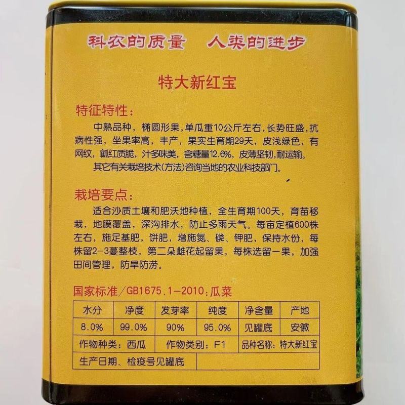 科农新红宝西瓜种子中熟优质抗病丰产耐旱耐湿椭圆形网纹西瓜