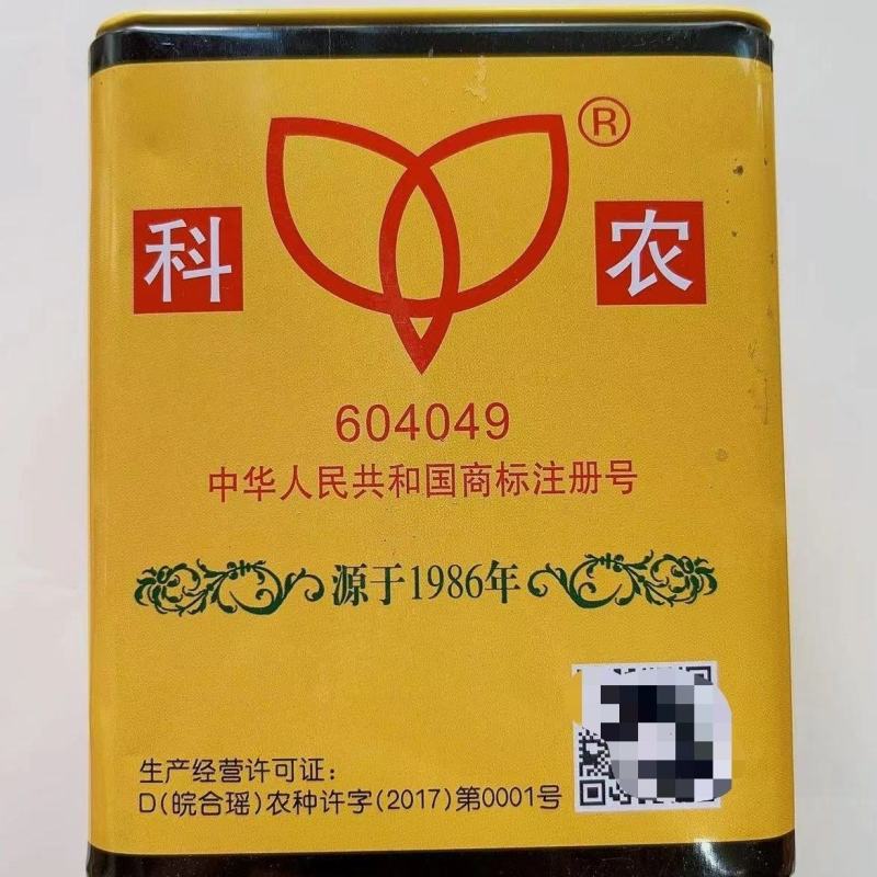 科农新红宝西瓜种子中熟优质抗病丰产耐旱耐湿椭圆形网纹西瓜