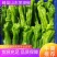【精选】山东芜湖椒/薄皮椒，大量上市，全年持续供应