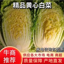 兰陵黄心白菜，一手货源，产地直发，大量有货