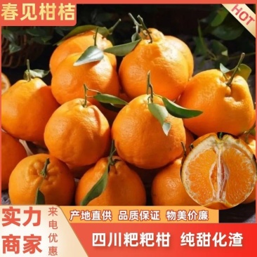 【柑橘】春见柑桔四川精品耙耙柑产地直供量大从优品质保证