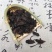 中药材牛牤虫虻虫牛虻虫干净今年新货虻虫净货