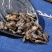 中药材牛牤虫虻虫牛虻虫干净今年新货虻虫净货