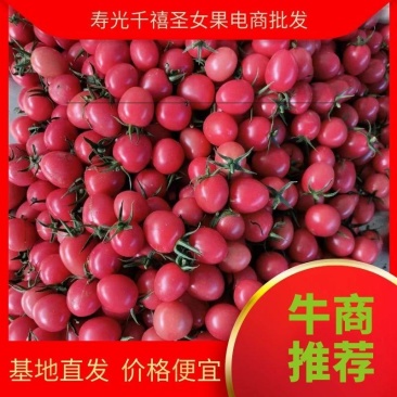 千禧圣女果，产地直发全国，量大便宜，电商平台，批发市场。