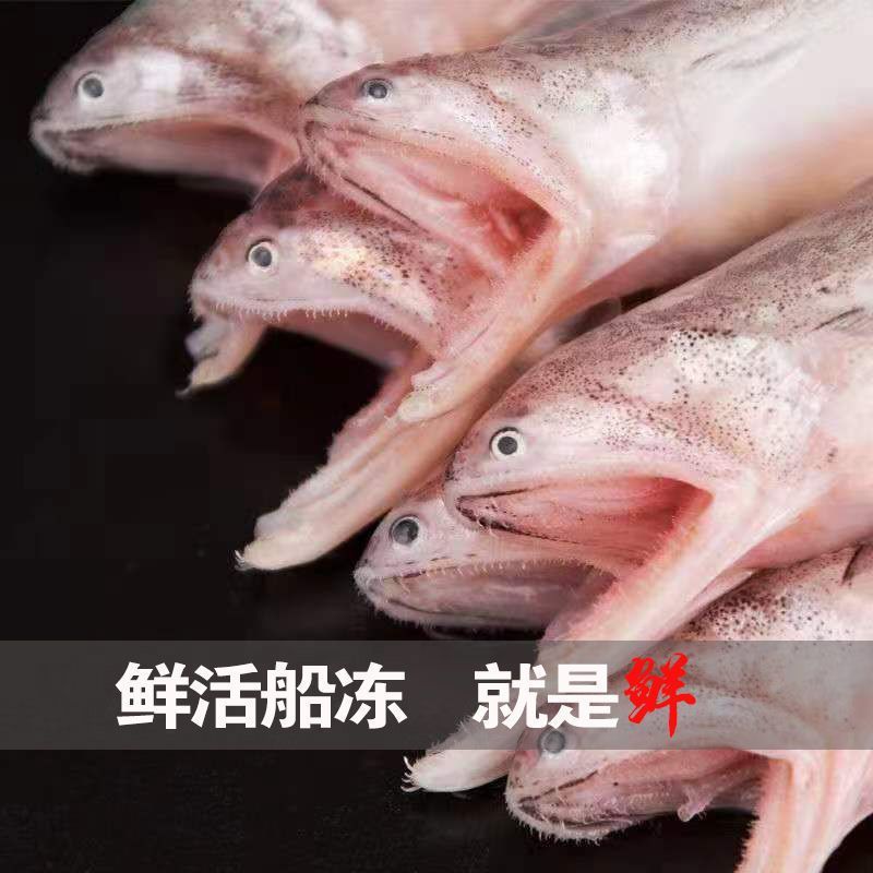 新鲜龙头鱼大号豆腐鱼新鲜批发无骨冷冻水鱼九肚鱼软骨面条尖