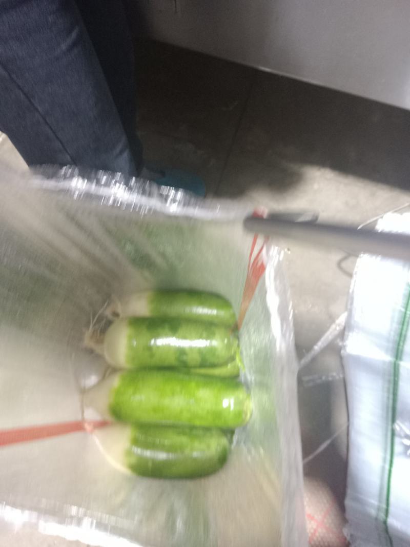 水果萝卜