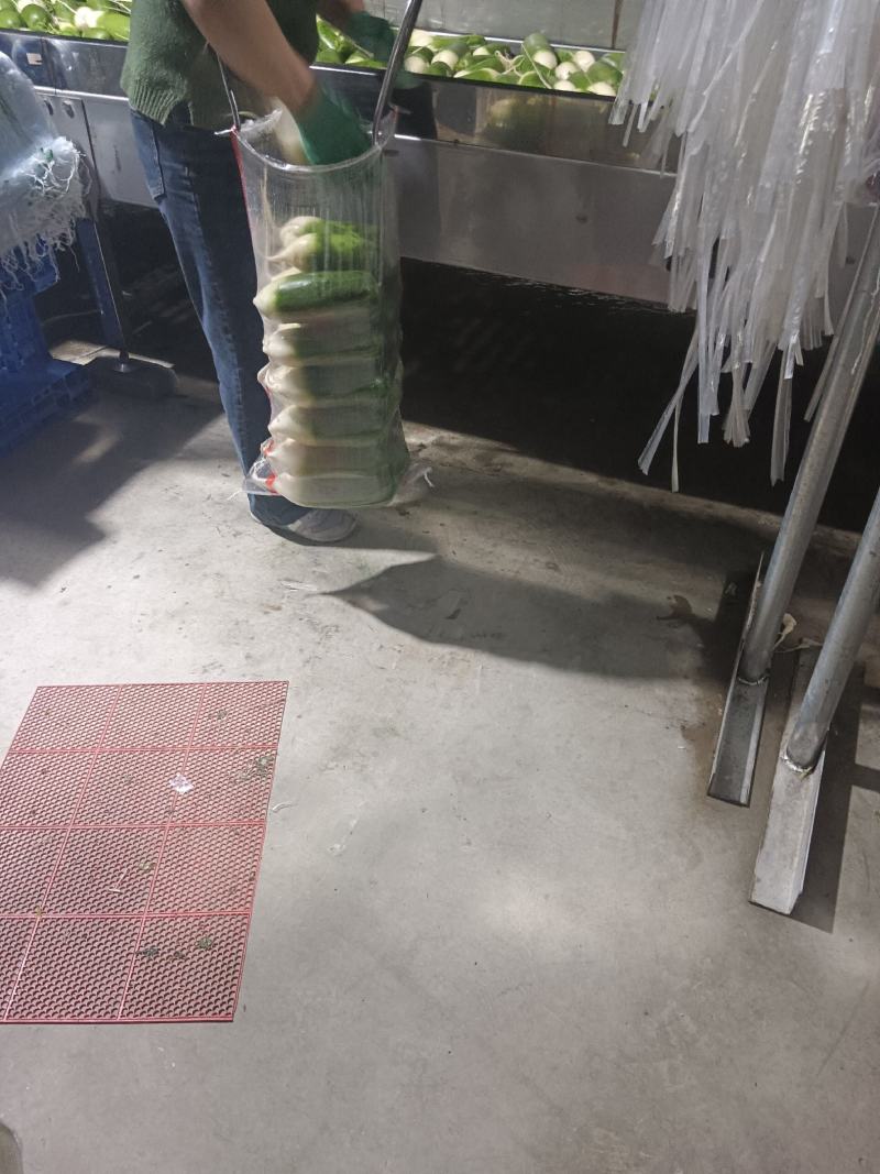 水果萝卜