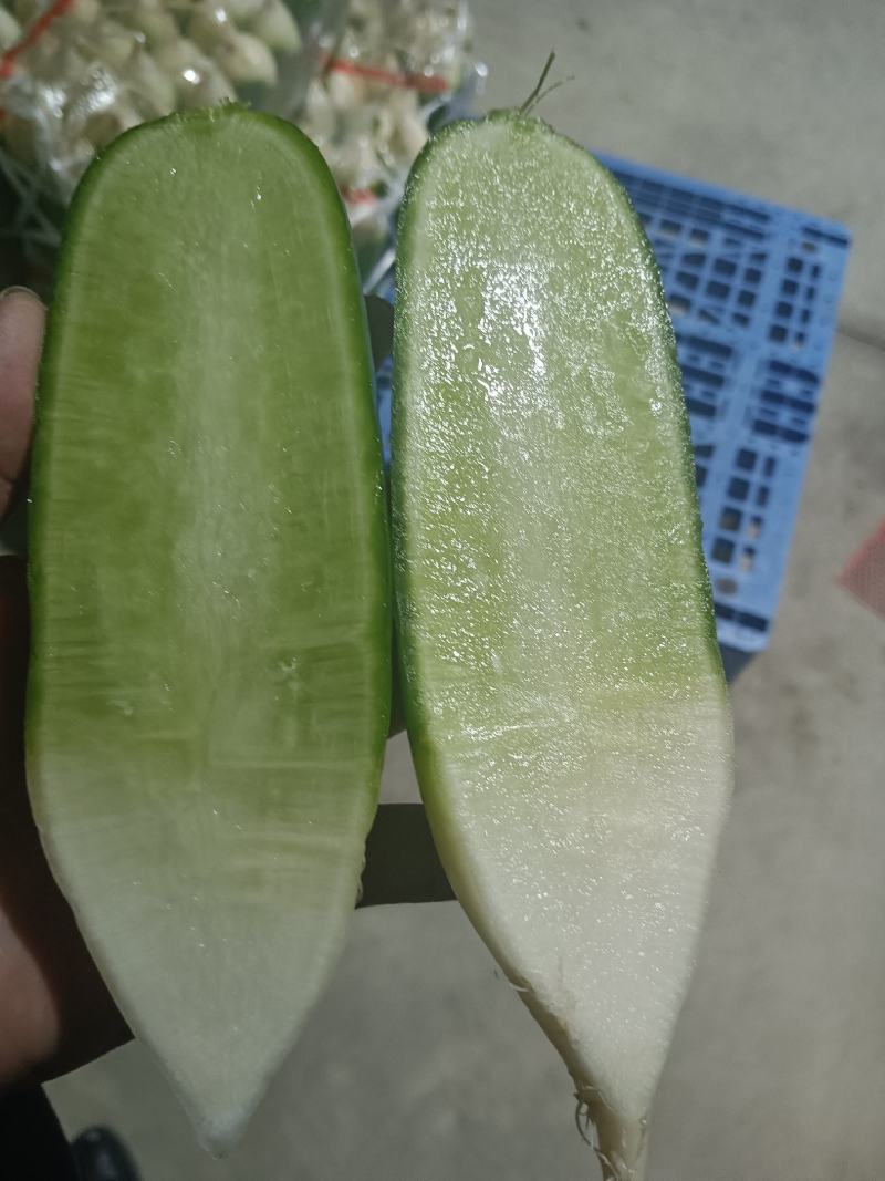 水果萝卜