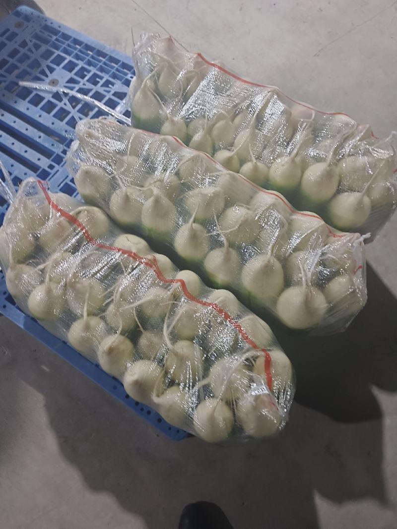 水果萝卜