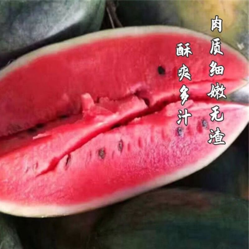 俏美玲大果超甜黑美人西瓜种子早熟适应性广甜脆多汁黑皮西瓜