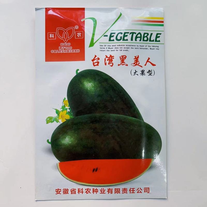 俏美玲大果超甜黑美人西瓜种子早熟适应性广甜脆多汁黑皮西瓜