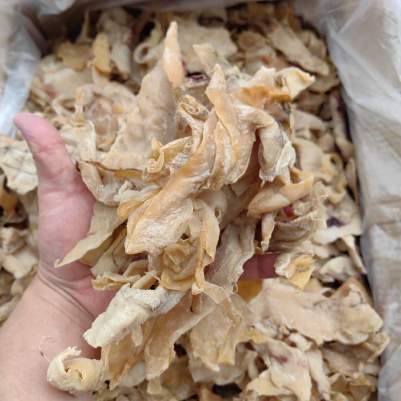 北海鱿鱼片鱿鱼边丝鱿鱼干鱿鱼边角料地摊跑江湖货源