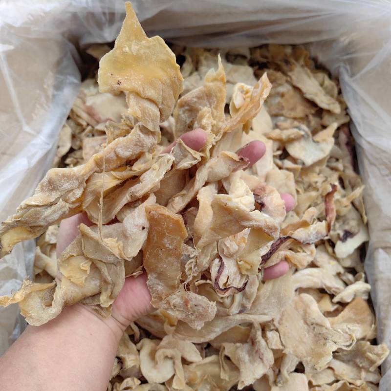 北海鱿鱼片鱿鱼边丝鱿鱼干鱿鱼边角料地摊跑江湖货源