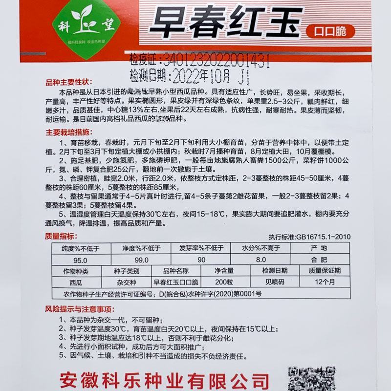 科美4k早春红玉礼品西瓜种子早熟甜薄皮大红瓤小西瓜种原装
