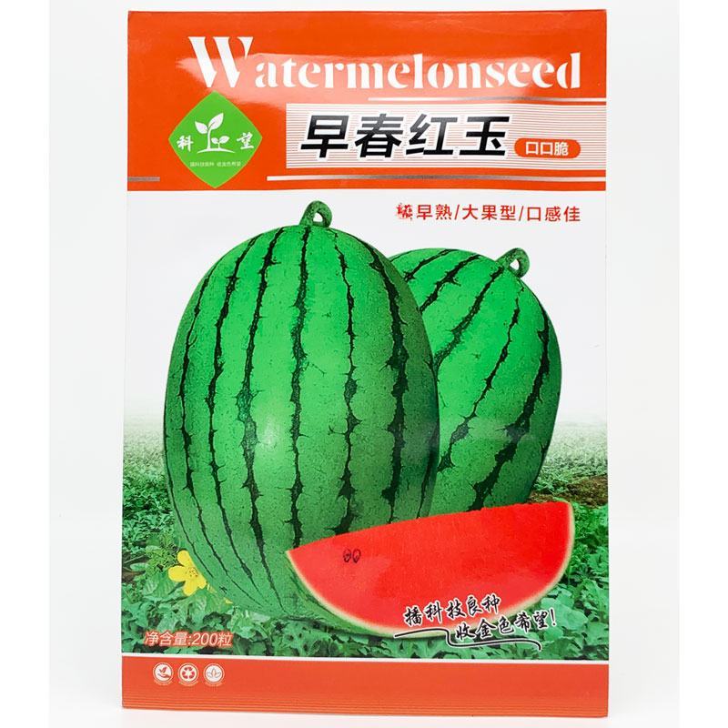 科美4k早春红玉礼品西瓜种子早熟甜薄皮大红瓤小西瓜种原装