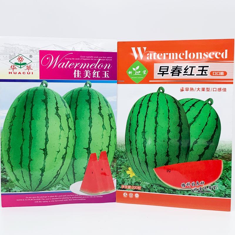 科美4k早春红玉礼品西瓜种子早熟甜薄皮大红瓤小西瓜种原装