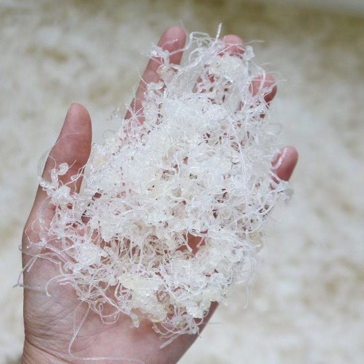 广州人龙须雪燕