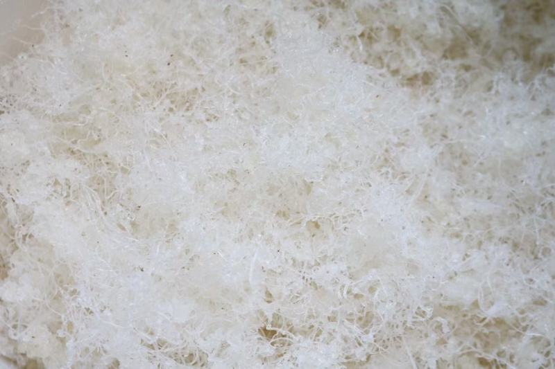 广州人龙须雪燕