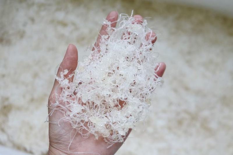 广州人龙须雪燕