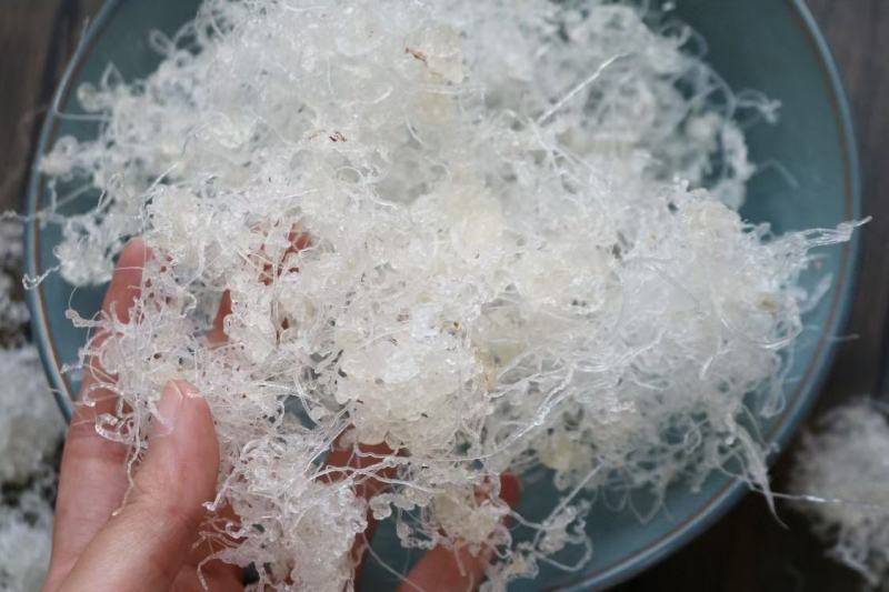 广州人龙须雪燕