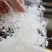 广州人龙须雪燕