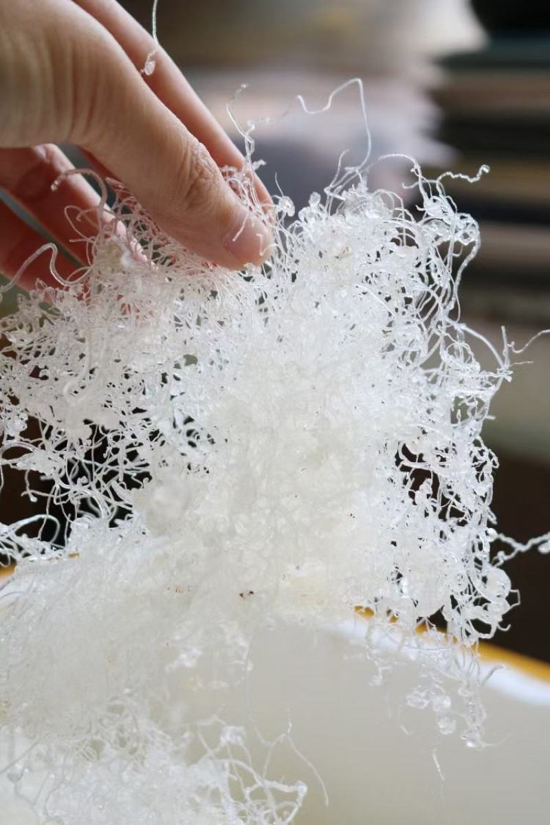 广州人龙须雪燕