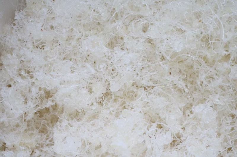 广州人龙须雪燕