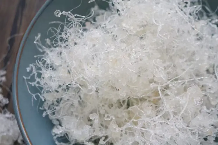 广州人龙须雪燕