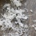 广州人龙须雪燕