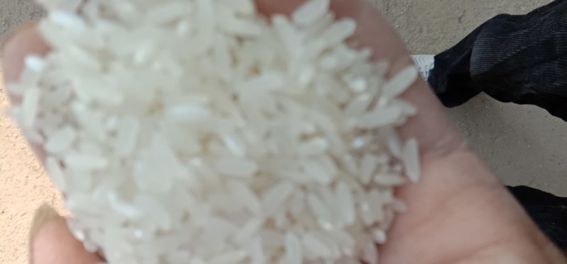 大别山农家稻