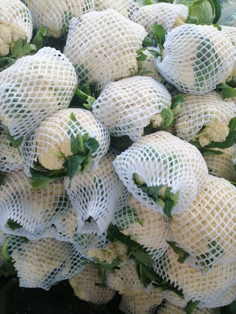 本地有机花菜个头1到2斤左右花型好价格美丽一手货源
