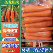 安徽省宿州胡萝卜，电商平台，超市，档口，中条小条，大头，