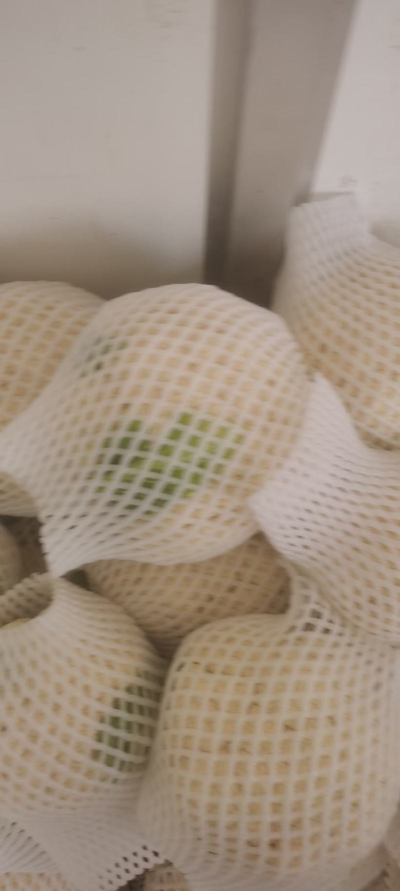 兰州精品散花大量有货，价格一毛，价格一毛，，，