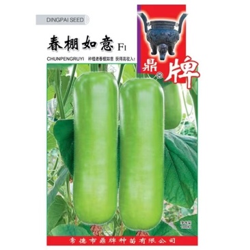 春棚如意瓠瓜种子，耐低温，雌花早而多适合早春种植