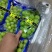 阳光玫瑰葡萄串行紧凑果面光滑口感**甜颗粒饱满12克以上