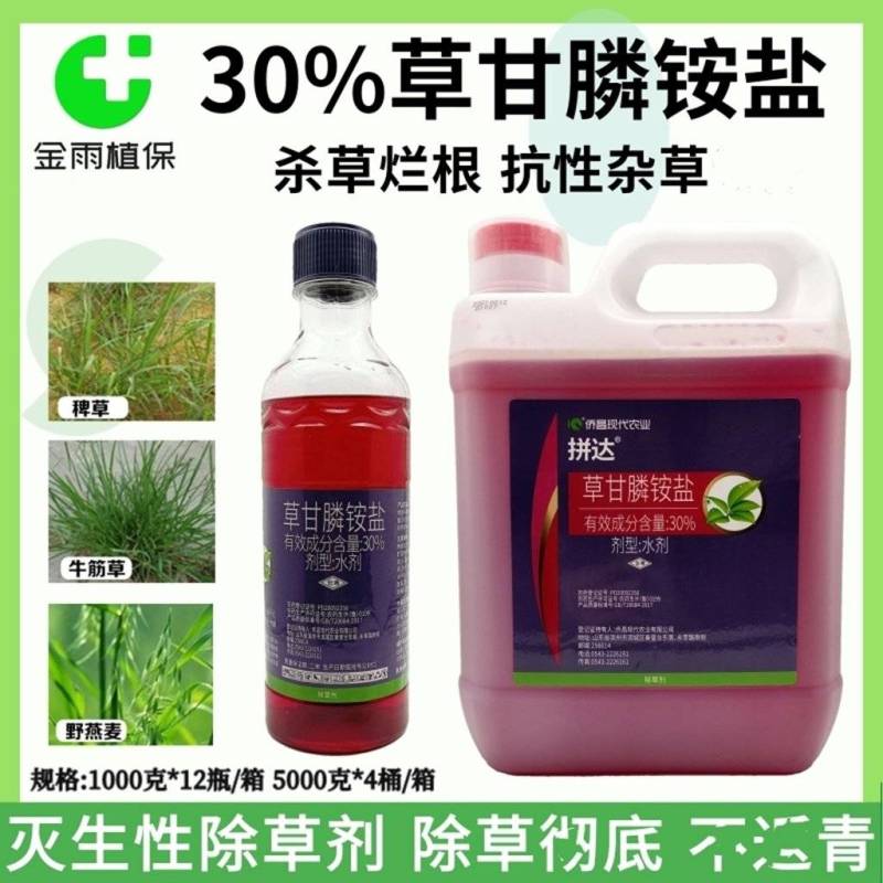 侨昌拼达30%草甘膦铵盐灭生除草剂果园苗圃牛筋草杂草烂根